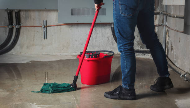 Best Flooded house restoration  in Bannockburn, IL