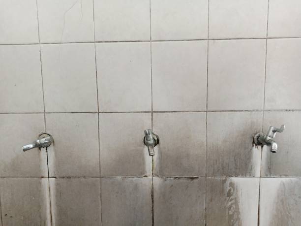 Best Carpet water damage restoration  in Bannockburn, IL