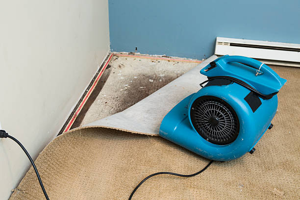 Best Water damage restoration near me  in Bannockburn, IL